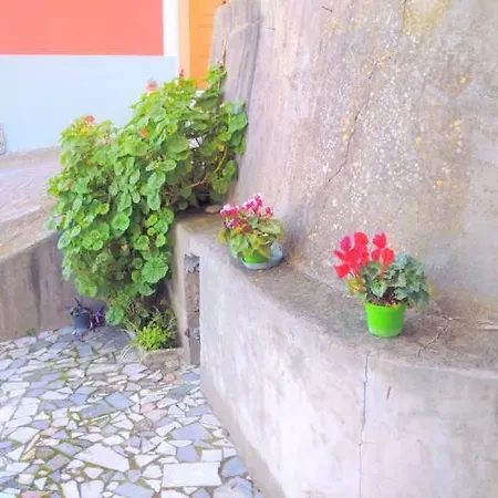Casa Narciso Imperia